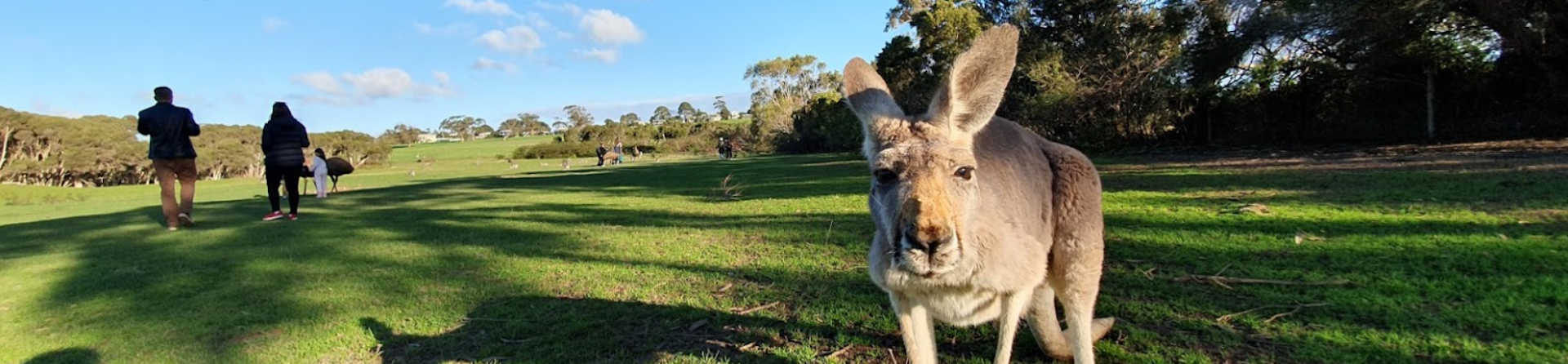 Phillip Island’s Best-Kept Secrets: More Than Just Penguins